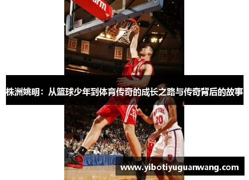 株洲姚明：从篮球少年到体育传奇的成长之路与传奇背后的故事