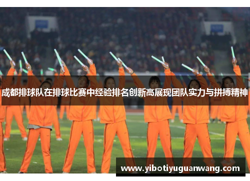 成都排球队在排球比赛中经验排名创新高展现团队实力与拼搏精神