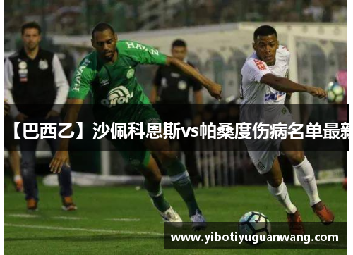 【巴西乙】沙佩科恩斯vs帕桑度伤病名单最新